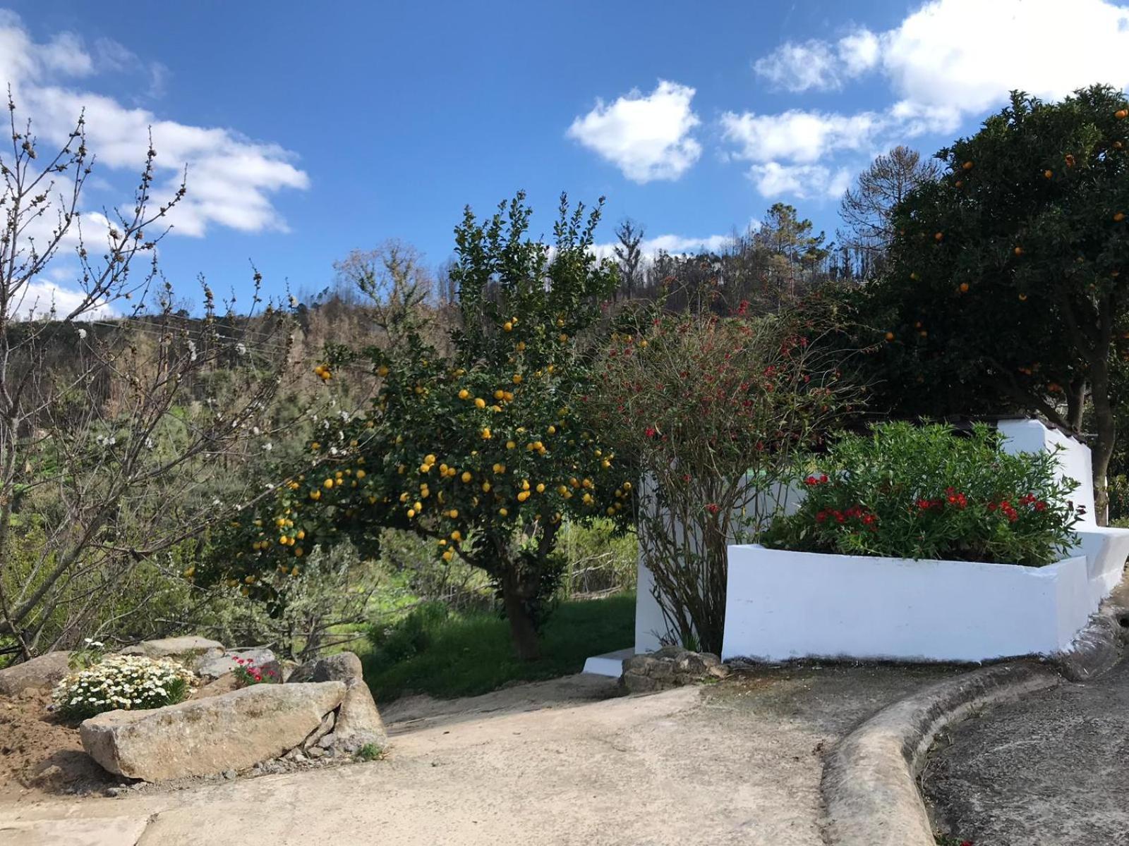 Casas Bemposta Villa Monchique Exterior photo